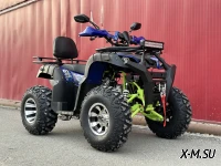 Квадроцикл PROMAX ATV 250 MAX (2025)