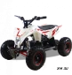 Детский электро квадроцикл MOTAX GEKKON 1300W