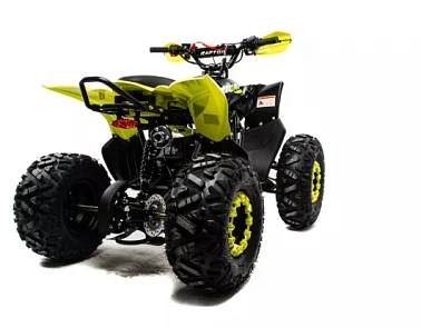 Квадроцикл MOTOLAND (МОТОЛЕНД) 125 RAPTOR A