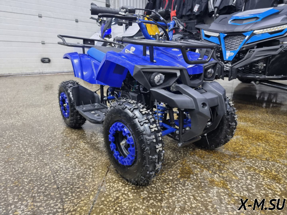 Квадроцикл PROMAX ATV MINI 2T 50CC р/с