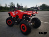 Квадроцикл PROMAX ATV MINI 2T 70CC э/с