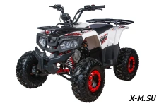 Квадроцикл YACOTA FUSION 125