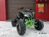 Квадроцикл PROMAX RAPTOR 320 Monster