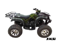 Квадроцикл WELS THUNDER 200
